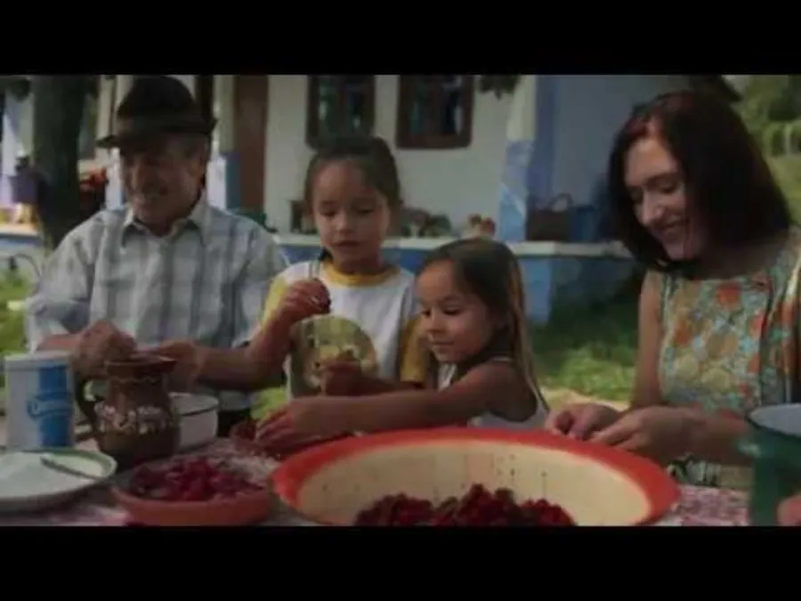 Zahăr Domnița — Clipe dulci de neuitat